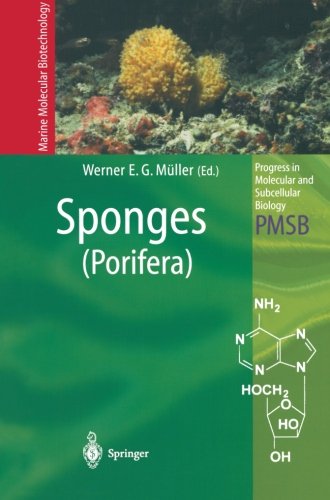 【预订】Sponges (Porifera)