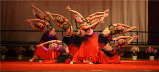 舞台演出服民族舞服装 订制 花儿为什么这样红舞蹈服新疆服装