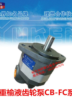 榆次液压齿轮油泵CB-FC10 FC16 FC18 FC20 FC25 FC31.5 FC40-FL