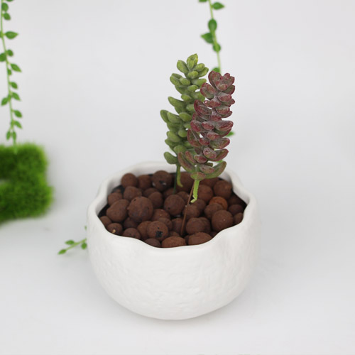 包邮批发多肉陶瓷花盆亚光系列植物盆栽韩式简约创意花盆限时特价
