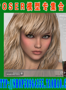 POSER模型——发型合集之十 3DVD(3M-171)