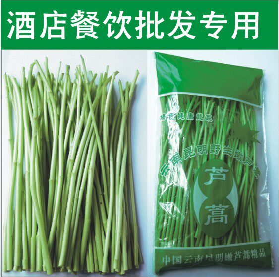 2斤藜蒿 芦蒿 云南野菜 蓠蒿 泥蒿 香菠 水蒿柳蒿 蔬菜餐厅