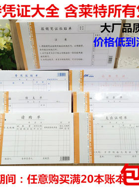 莱特支出证明借支原始