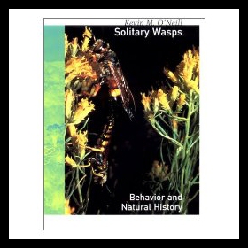 【预售】Solitary Wasps