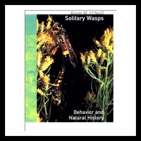 【预售】Solitary Wasps