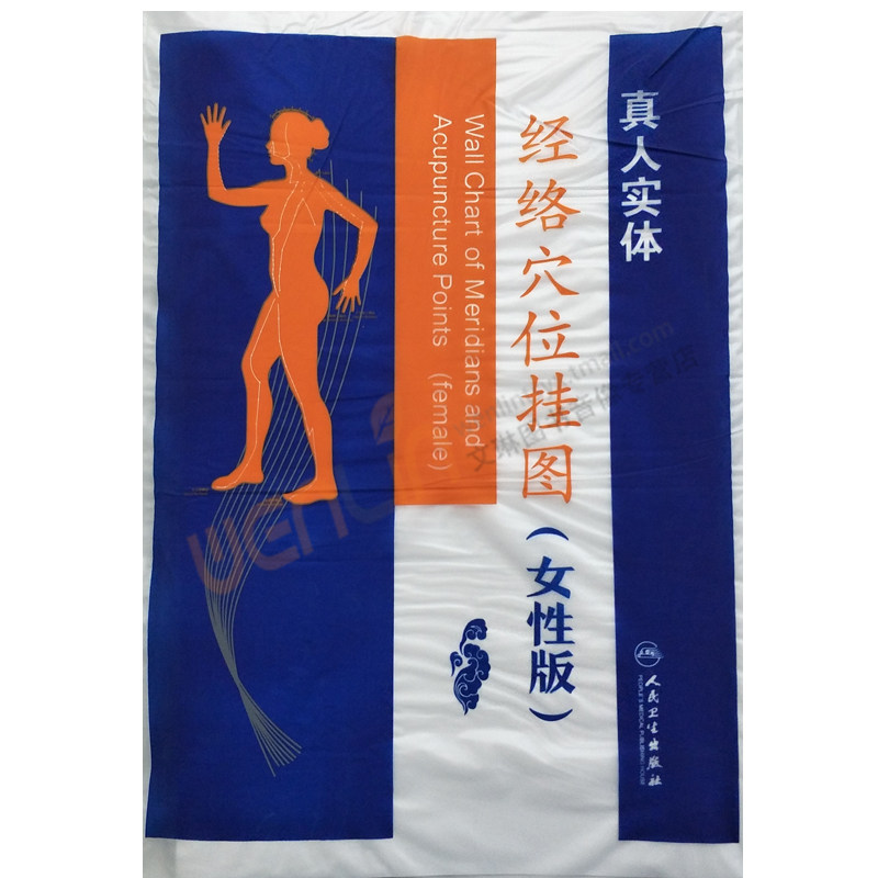 经络穴位挂图女性版 真人实体人卫版 人民卫生出版社9787117240222