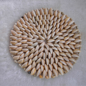 手工编织天然海螺贝壳杯垫地中海家居餐桌盘子隔热垫碗垫茶杯壶垫