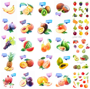 矢量设计素材 水果图案桃子无花果百香果菠萝石榴葡萄EPS 水彩风格
