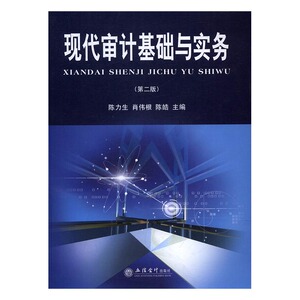 正版包邮 现代审计基础与实务 陈皓 书店 经济管理书籍 书 畅想畅销书