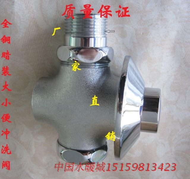 铜入墙式暗装手按式大小便冲洗阀 蹲厕冲水器 蹲便按压6分1寸