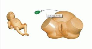 高级难产示教训练模型，肩难产训练模具，妇幼保健练习模型