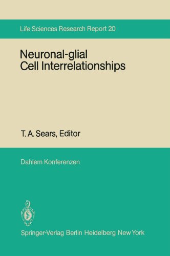 【预订】Neuronal-Glial Cell Interrelationshi...