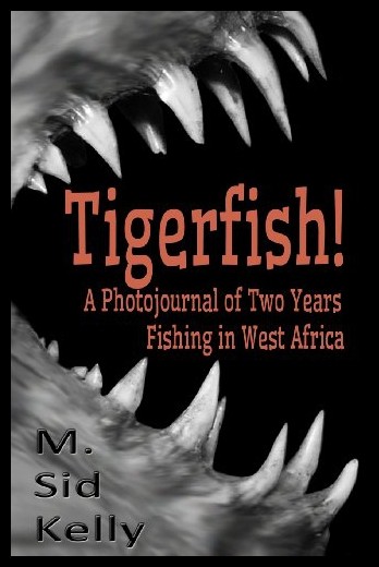 stories and photos from two years fis