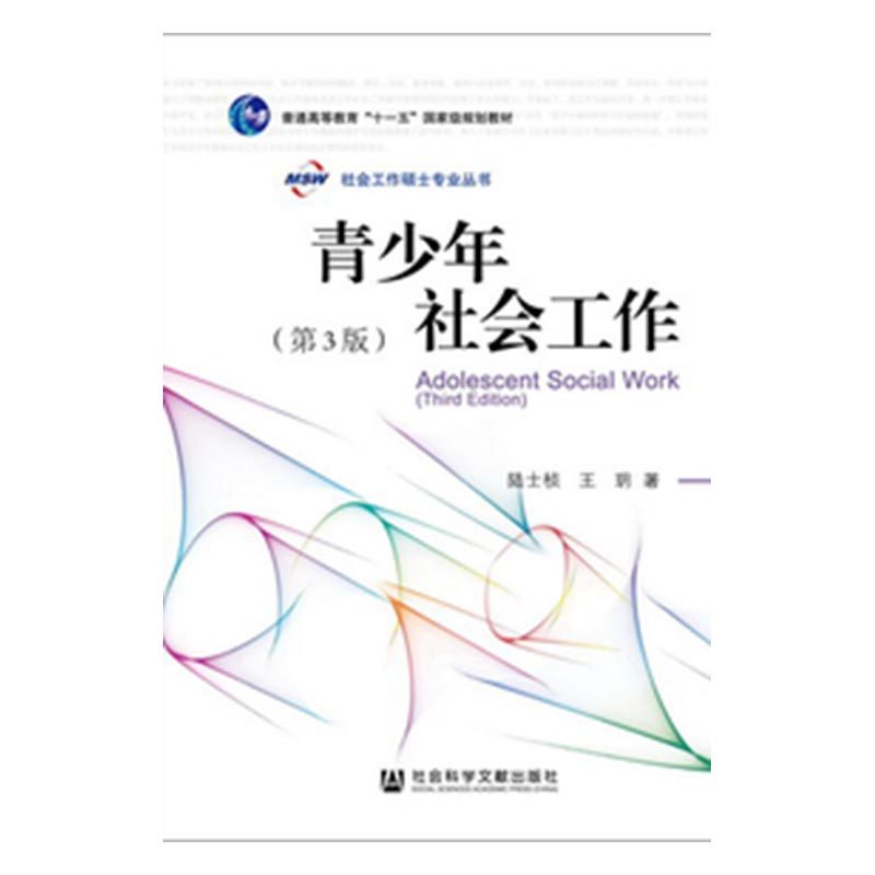 正邮 青少年社会工作 陆士桢 社会科学文献出版社 社会科学理论 书籍x