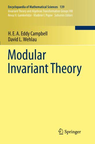 【预订】Modular Invariant Theory