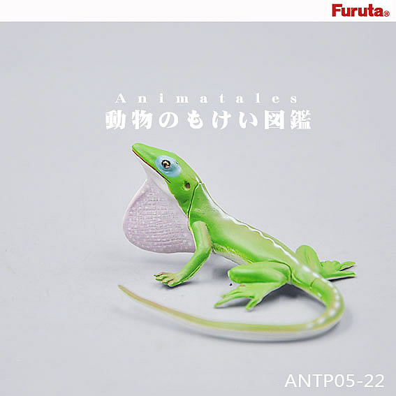 【绝品】日本正版扭蛋盒蛋 绿色蜥蜴 仿真蜥蜴类模型 拼装玩具