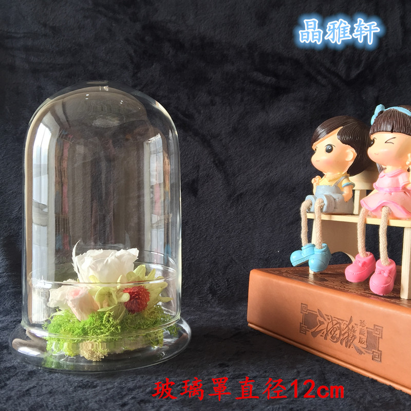 玻璃罩多肉分体花瓶闷养神器礼物