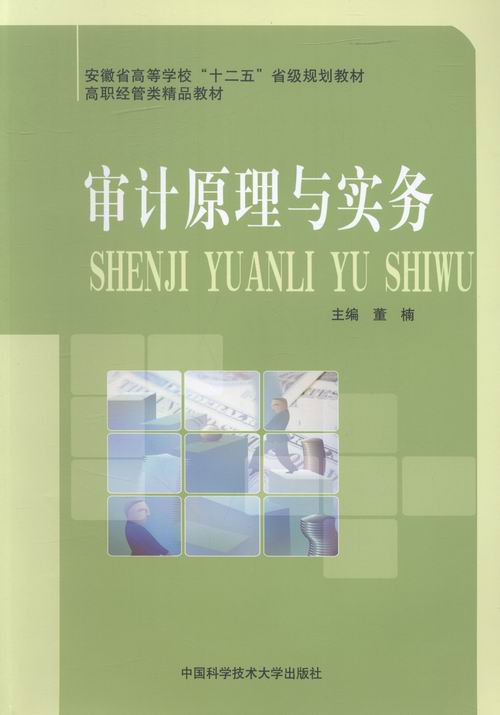 审计原理与实务 书店 董楠 统计学书籍 书 畅想畅销书