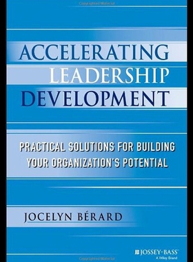 【预售】Accelerating Leadership Development: Practical So