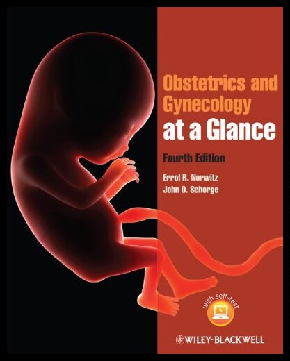 【预售】Obstetrics and Gynecolo