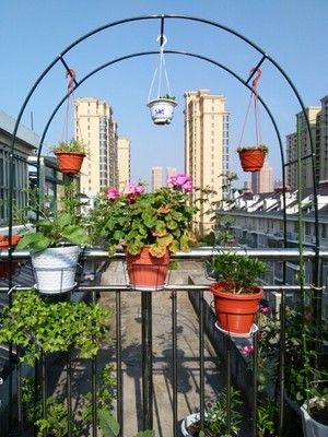 攀援蔬菜爬藤架蔷薇葡藤蔓搭架加固铁艺婚庆拱门地面花架,鲜花速递/花卉仿真/绿植园艺,其它园艺用品,淘宝优惠券,粉丝福利购,淘宝优惠卷