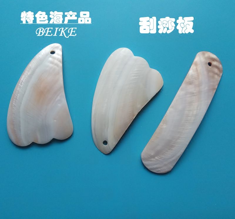 包邮天然贝壳海螺刮痧板刮痧理疗排毒养颜除湿保健全身通用通筋络