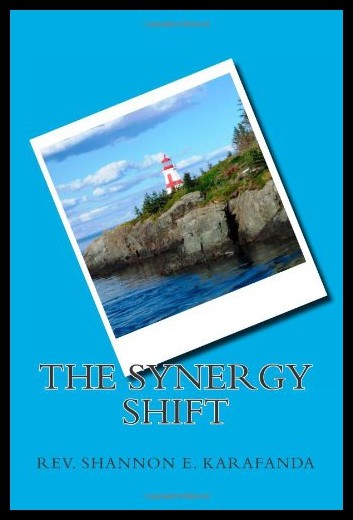 【预售】the synergy shift