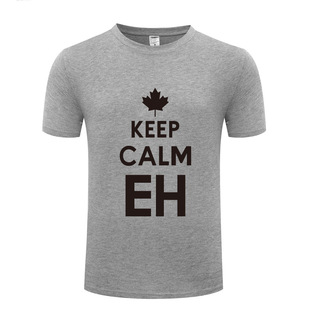 新款男式短袖T恤 Keep Calm EH 创意新奇 Chive on 厂家直销