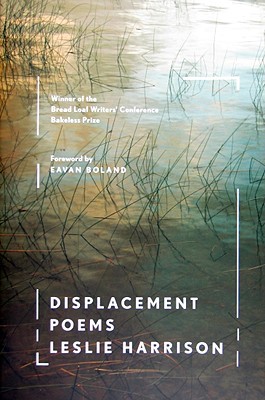 【预售】Displacement