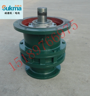 立式摆线 线针轮减速机搅拌料BLDXLDY电机可备高能效低噪音厂家直