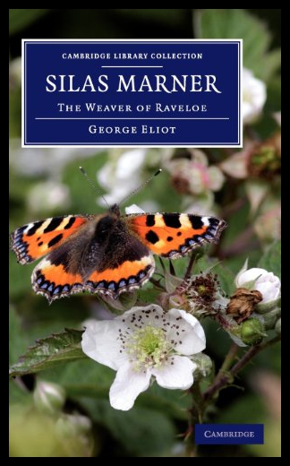 美国库房发货，通常付款后5-8周到货！