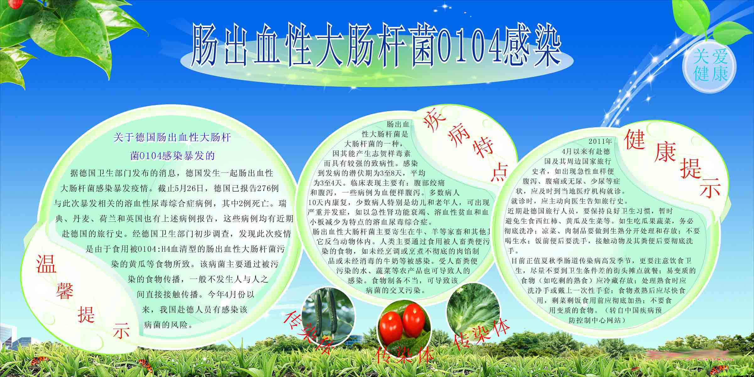 209海报印制展板素材402肠出血性大肠杆菌0104感染