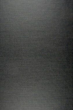 【预售】Conversations with Caryl Phillips