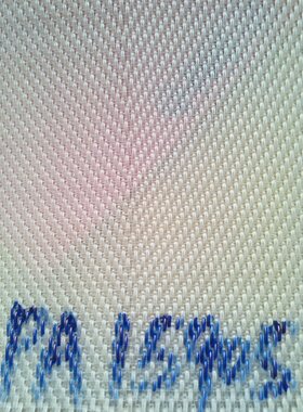 污水过滤聚酯网带 污泥脱水网带 压滤机专用网输送带 26908 15905