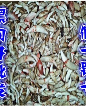 造型民族大量黑狗牙仿狼牙饰品