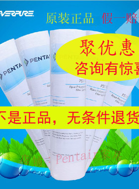 滨特尔爱惠浦GE净水器滤芯前置PP棉PS5-10C原装正品10寸通用QL2U