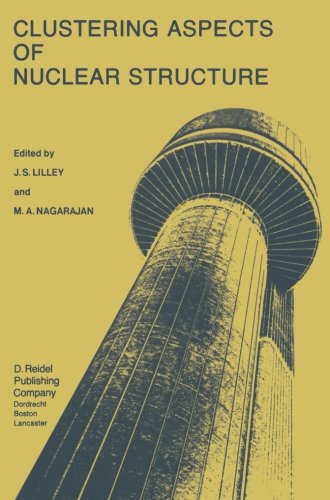 【预订】Clustering Aspects of Nuclear Struct... 书籍/杂志/报纸 科普读物/自然科学/技术类原版书 原图主图