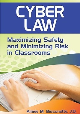 【预售】Cyber Law: Maximizing Safety and Minimizing Risk ...