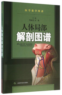 人体局部解剖图谱 医学教学图谱