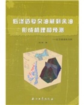 低渗透复杂油藏剩余油形成机理和预测 以卫城油田为例 刘伟 石油工业出版社 9787502178772