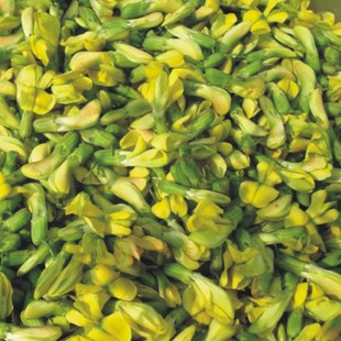 1斤顺丰包邮新鲜金雀花 阳雀花云南食用花 特色菜 新鲜食材