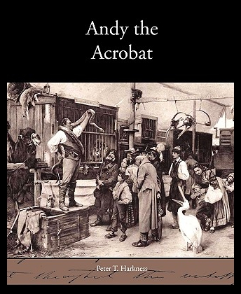 美国库房发货，通常付款后5-8周到货！