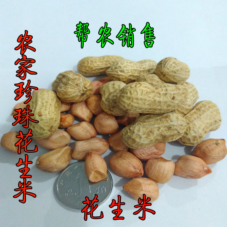 农家贵州珍珠5斤本地生花生米