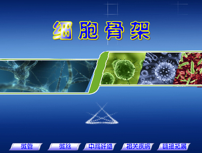 高中生物精品Flash参赛获奖课件制作——细胞骨