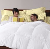 美国拥软 羽绒被 双温 600蓬松度欧洲白鸭绒 233纱织纯棉麻纱