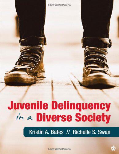 【预售】Juvenile Delinquency in a Diverse Society
