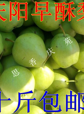 西北甘肃土特产庆阳早酥梨砀山梨脆甜鸭梨500g新鲜水果特价美食品