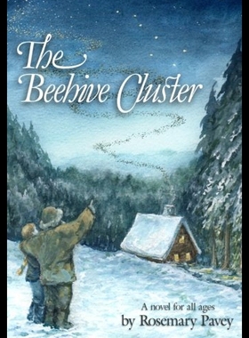 【预售】The Beehive Cluster: A Novel for All Ages