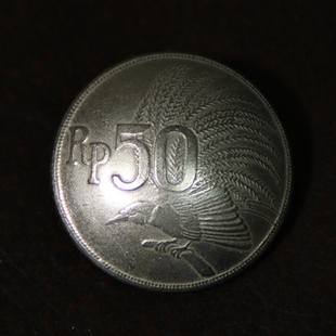 镍币23mm 手工制作养牛硬币扣 天堂鸟 财布扣 D27一15 真硬币