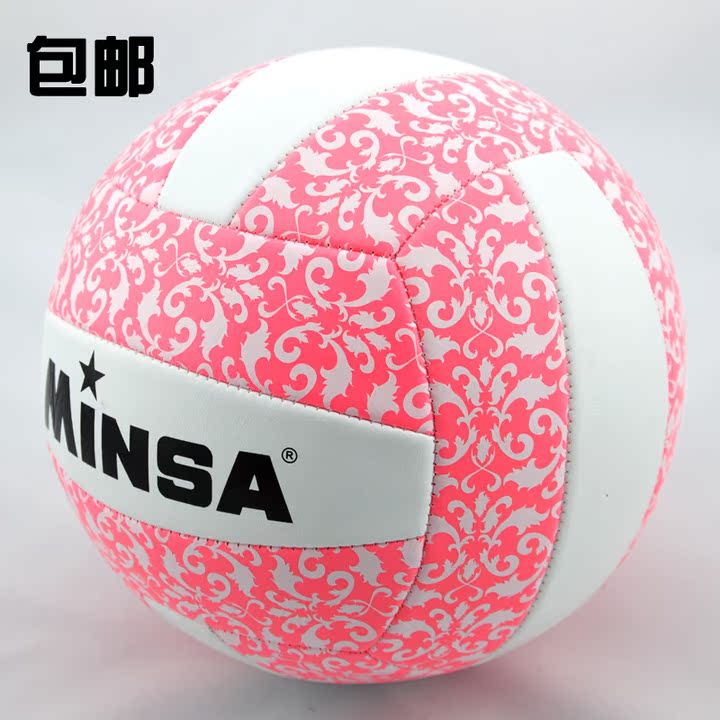 Ballon de volley - Ref 2012267 Image 1
